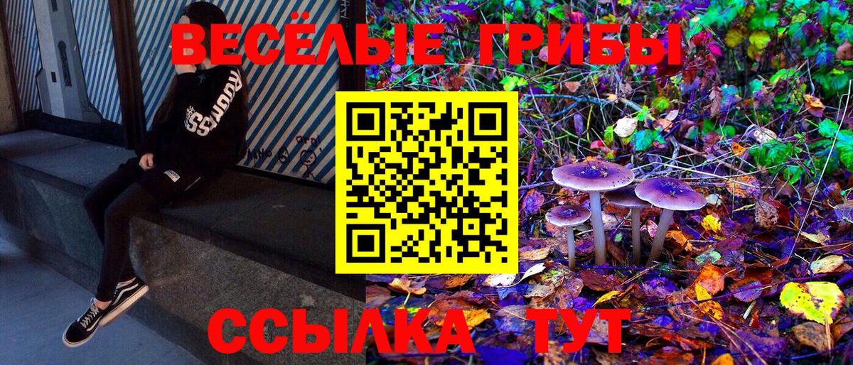 Галлюциногенные грибы GOLDEN TEACHER Майский